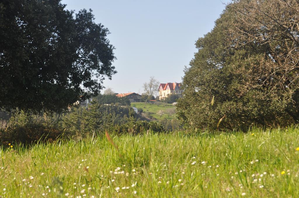 Apikale ξενώνας Ea Εξωτερικό φωτογραφία